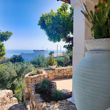 Le Pajare Di Di Casa Camilla Journey * מרינה סרה